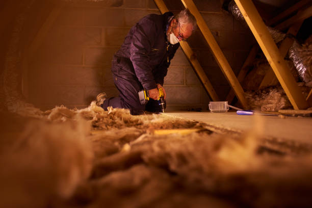 Professional Insulation Contractor in Franklin Park, PA
